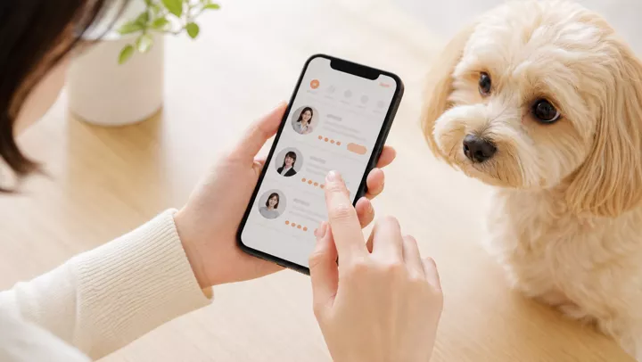 愛犬と一緒にスマートフォンでシッターを探す様子